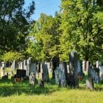 Wiener Zentralfriedhof Wanderfürung zu Halloween